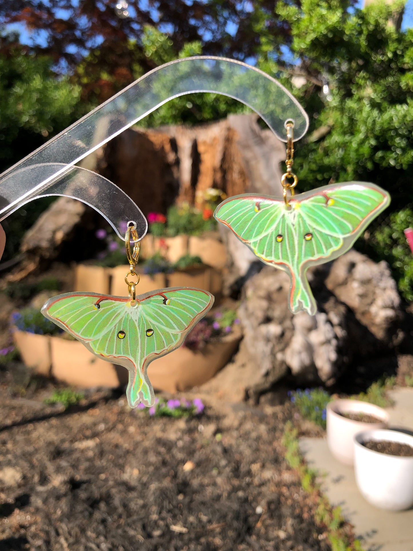 Small Luna Moth