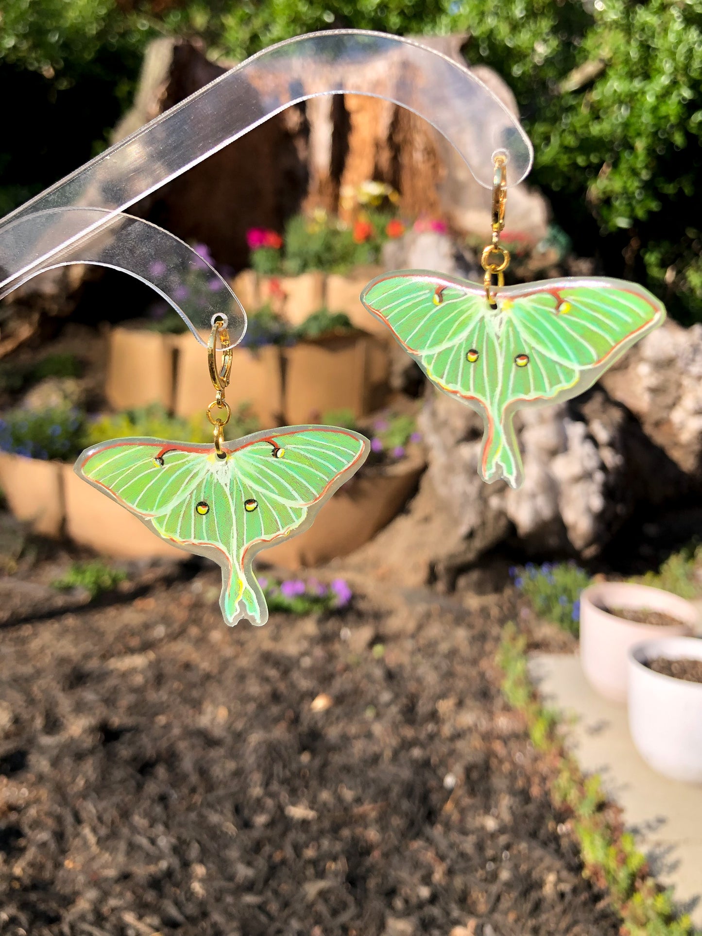 Small Luna Moth