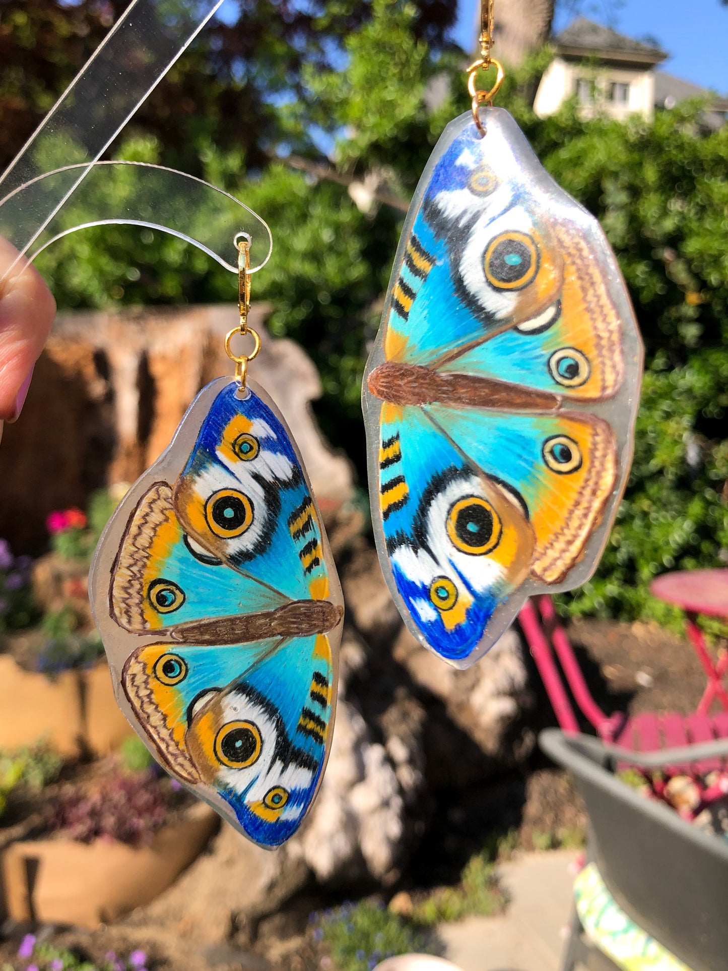 Blue Buckeye Butterfly