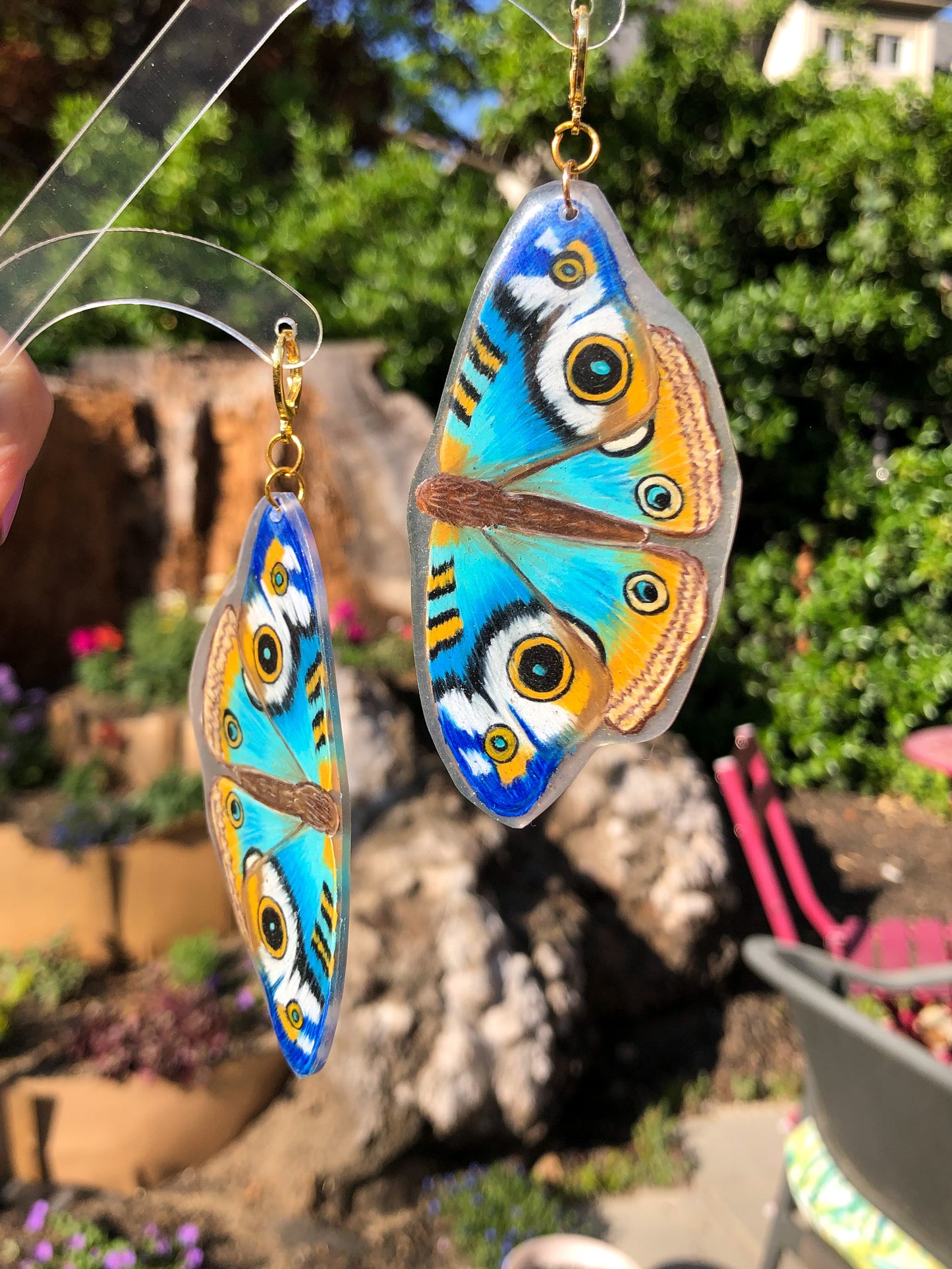 Blue Buckeye Butterfly