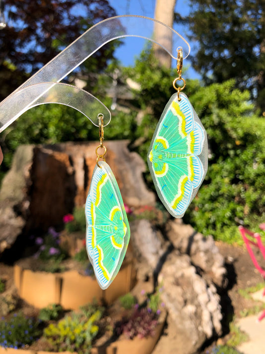 Blue and Yellow Moth Earrings