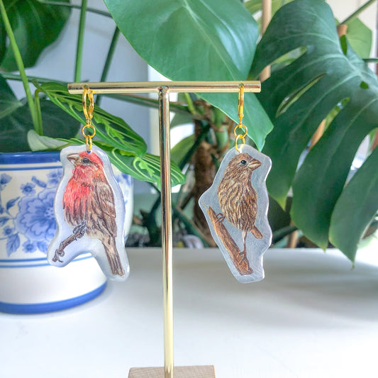 Housefinch Earrings